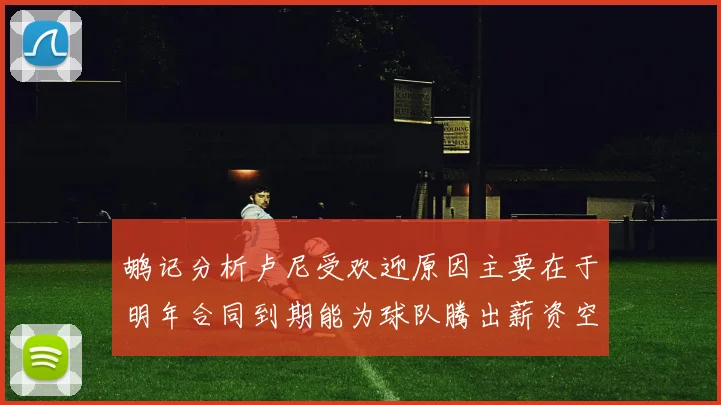 鹕记分析卢尼受欢迎原因主要在于明年合同到期能为球队腾出薪资空间