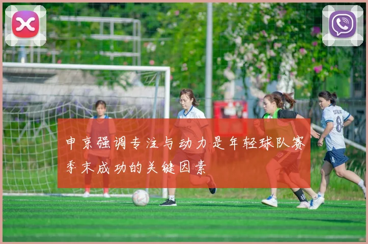 申京强调专注与动力是年轻球队赛季末成功的关键因素