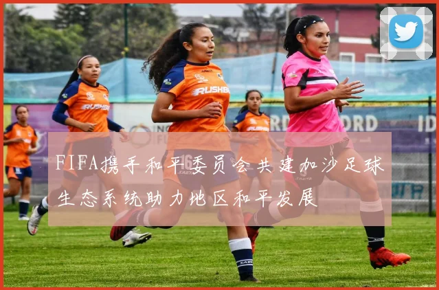 FIFA携手和平委员会共建加沙足球生态系统助力地区和平发展