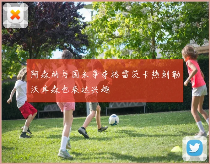 阿森纳与国米争夺格雷茨卡热刺勒沃库森也表达兴趣