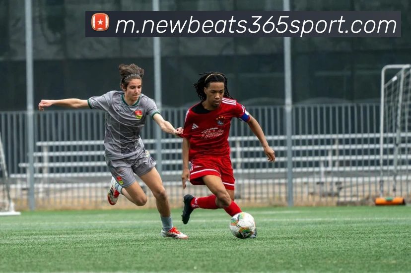 beats365体育平台生态图